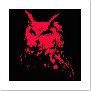 Red Owl Head Posters and Art